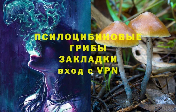ГАЛЛЮЦИНОГЕННЫЕ ГРИБЫ Алзамай