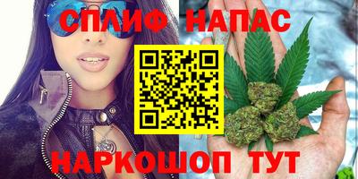 ПСИЛОЦИБИНОВЫЕ ГРИБЫ Аргун