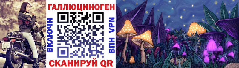 Псилоцибиновые грибы Psilocybe  блэк спрут ССЫЛКА  Волгодонск 