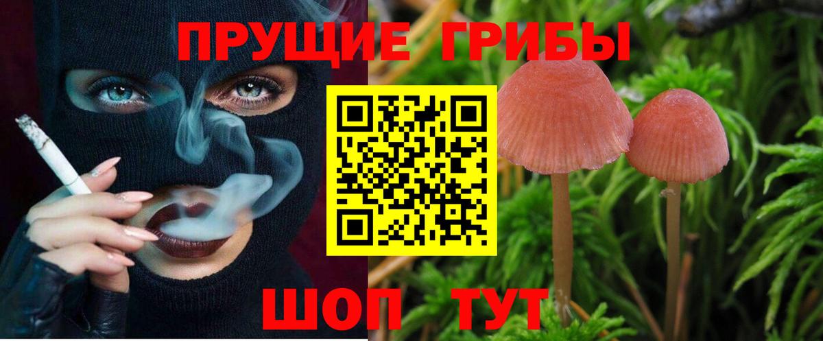 Псилоцибиновые грибы ЛСД Волгодонск